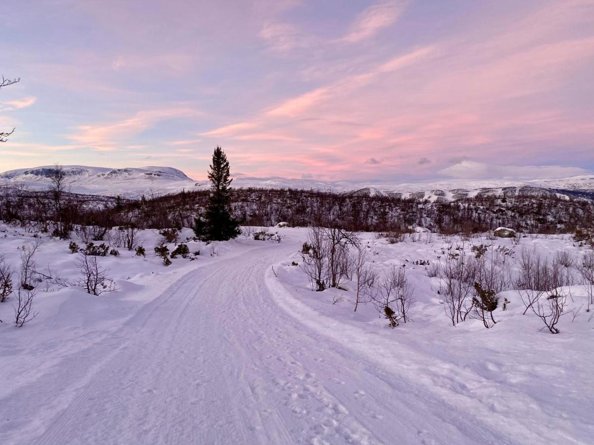 Hotel Hakkesetstolen Fjellstugu Geilo Esterno foto
