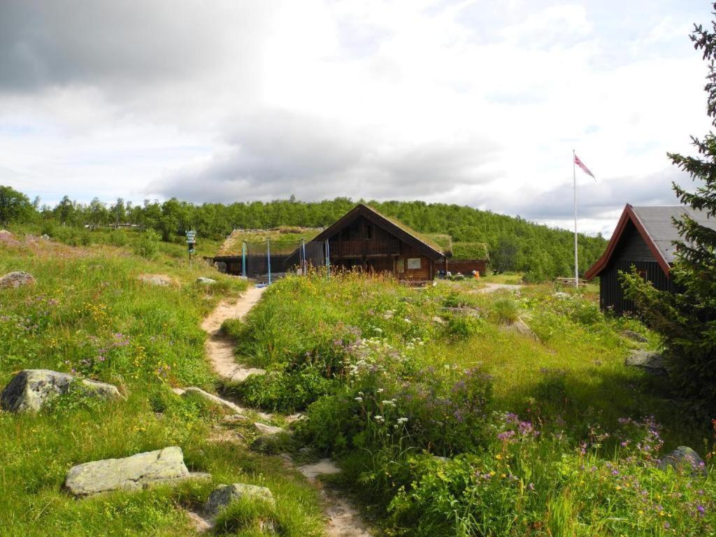 Hotel Hakkesetstolen Fjellstugu Geilo Esterno foto