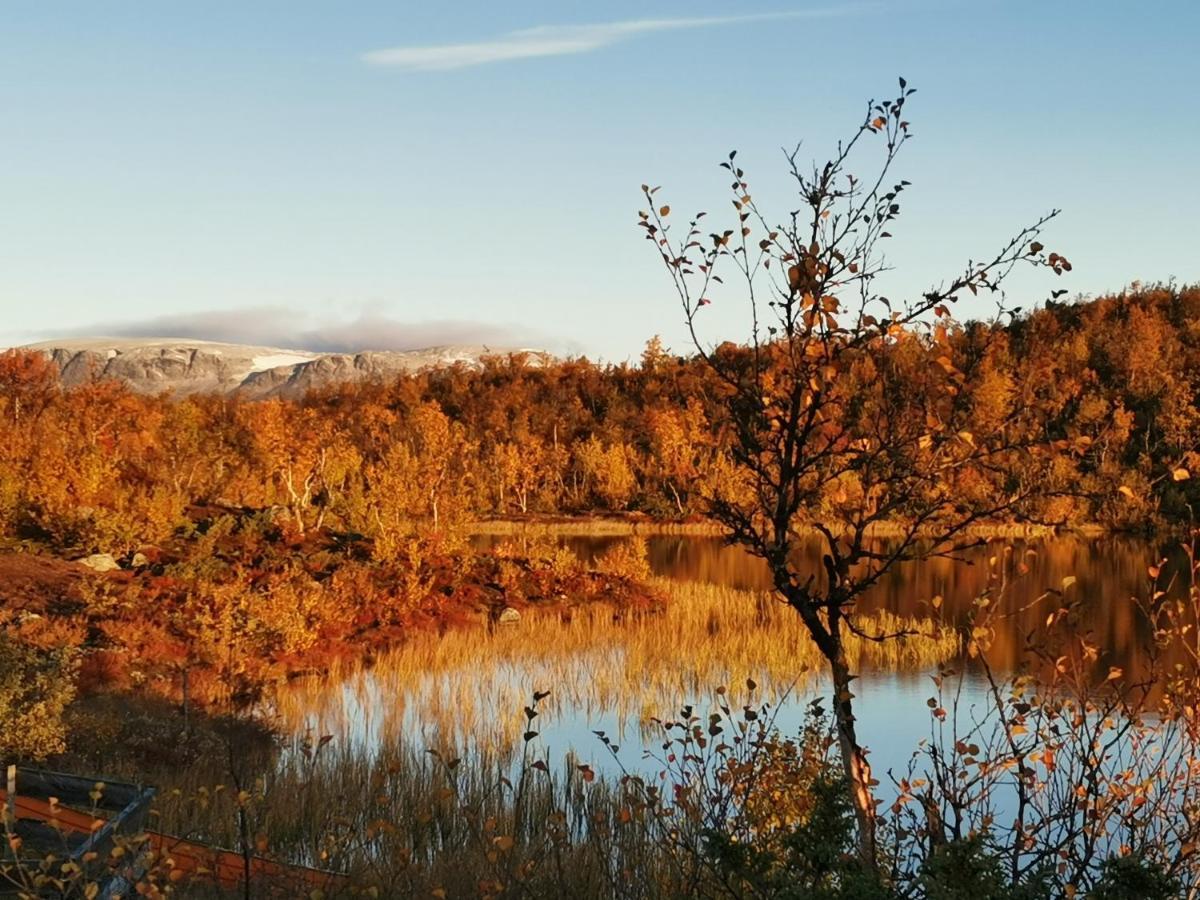 Hotel Hakkesetstolen Fjellstugu Geilo Esterno foto